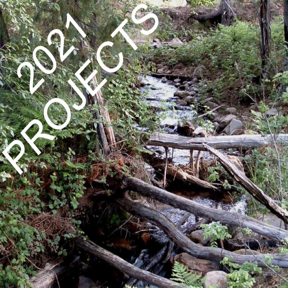 2021 Project Page Photo