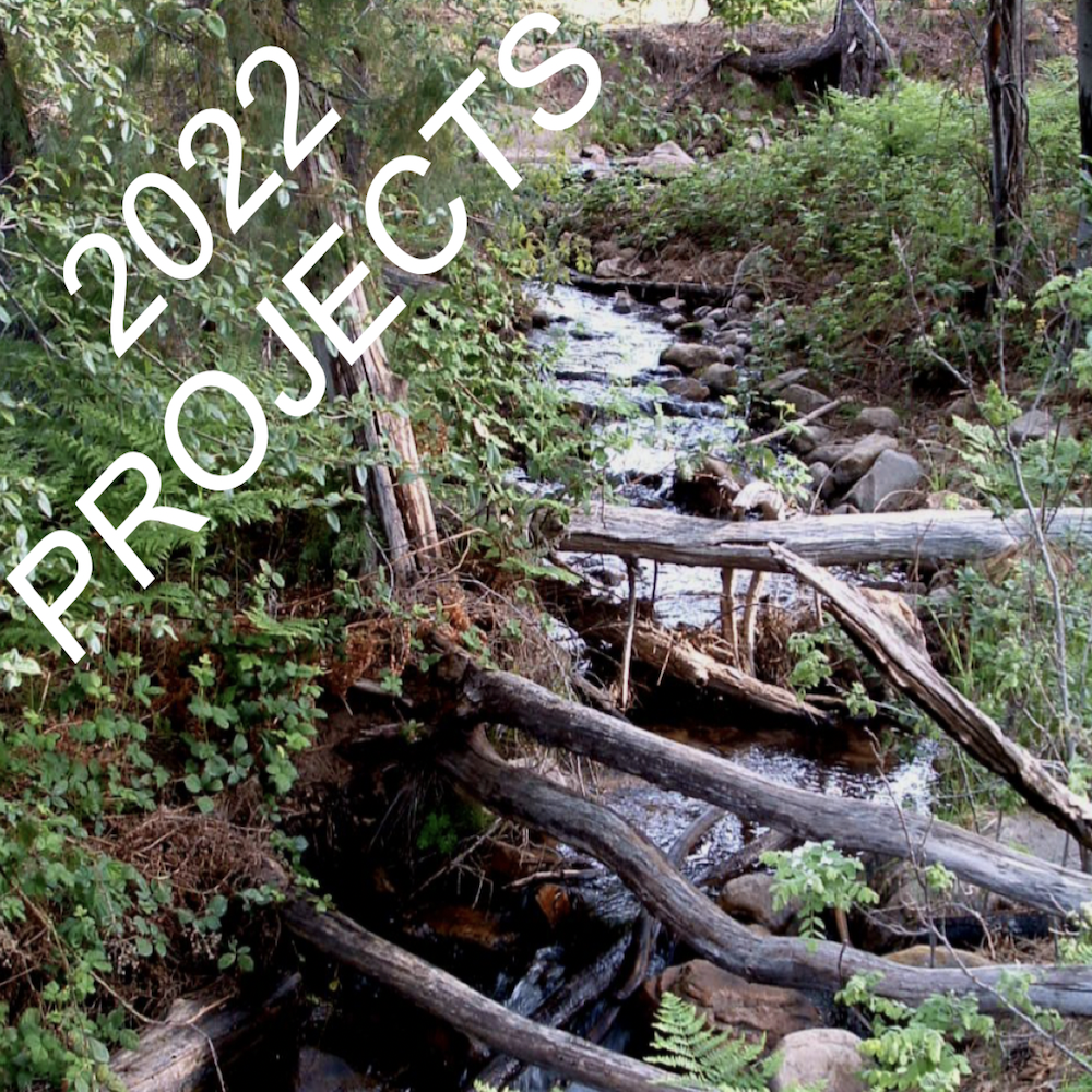 2022 Project Page Photo.jpg