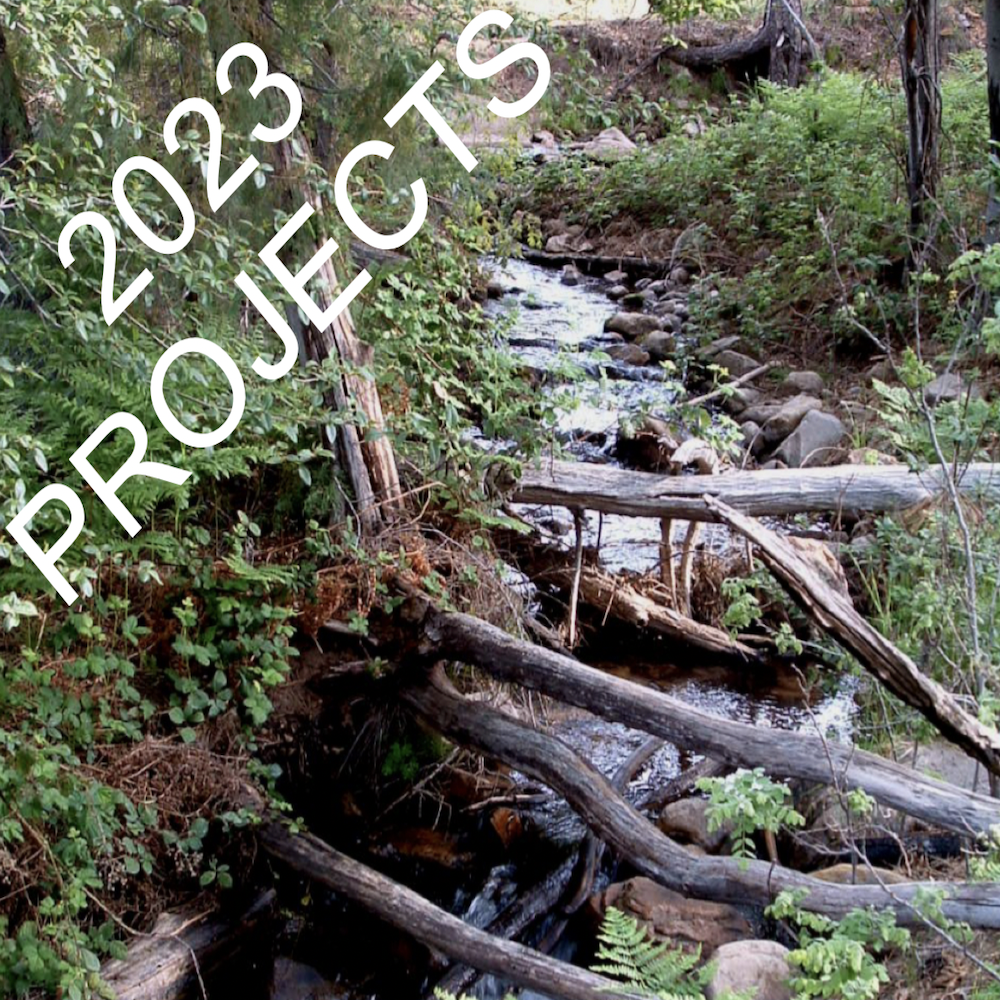 2023 Project Page Photo.jpg