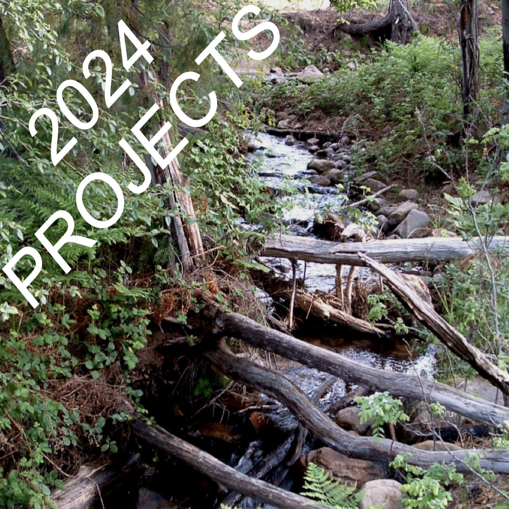 2024 Project Page Photo.jpg